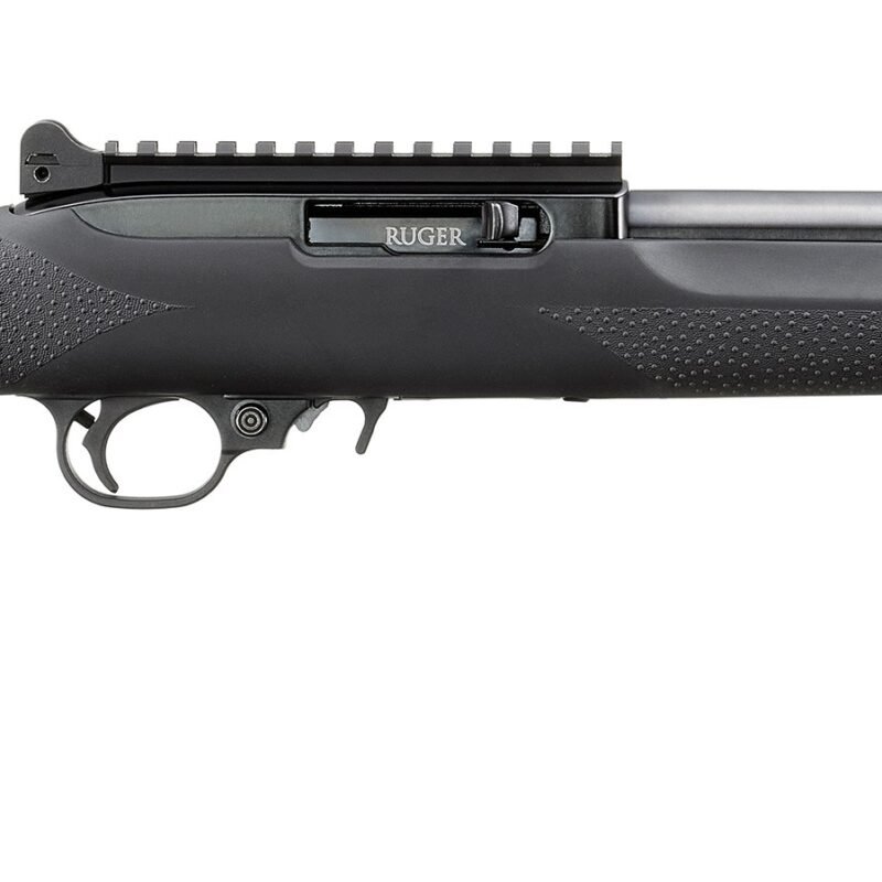 RUGER 10/22 CARBINE 22LR BL/HOGUE