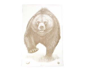 ACTION TGT AK STATE PARK BEAR 100PK