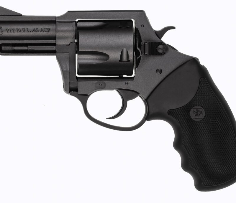 CHARTER ARMS MAG PUG 357M NITRIDE 5RD 2.2"