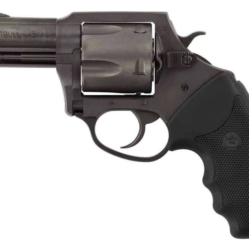 CHARTER ARMS CHARTER PITBULL 45ACP NIT 2.5"