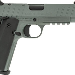 TISAS 1911 B910BA NSSF-C 10MM - 4.25" BBL 8RD W/CASE GREY