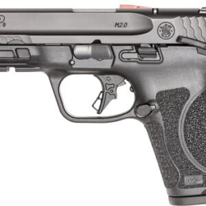 S&W M&P9 M2.0 COMPACT 9MM FS - 4" 10-SH W/TS & TLCI CA LEGAL