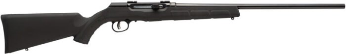 SAVAGE A17 17HM2 SPORTER 20" - 10-SH ACCU TGR BLUED/BLACK SYN