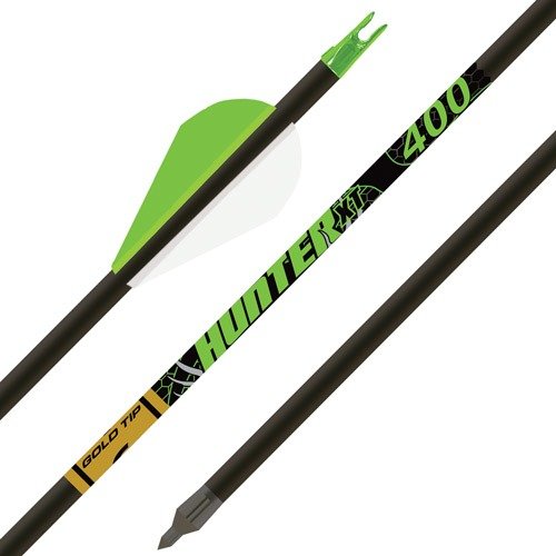 GOLD TIP ARROW HUNTER XT 300 - 2" RAPTOR VANES 1/2DOZ