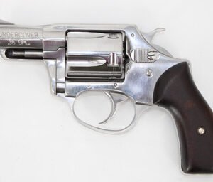Charter Arms Model 73829 Undercover .38 Special 2" 5 Rounds Hi Polish Stainless/Wood Grips