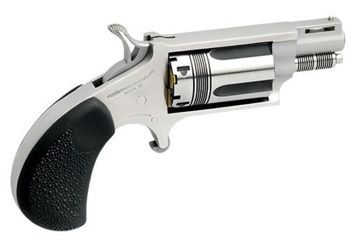 NORTH AMERICAN ARMS THE WASP 22MAG REV 1-1/8" SS