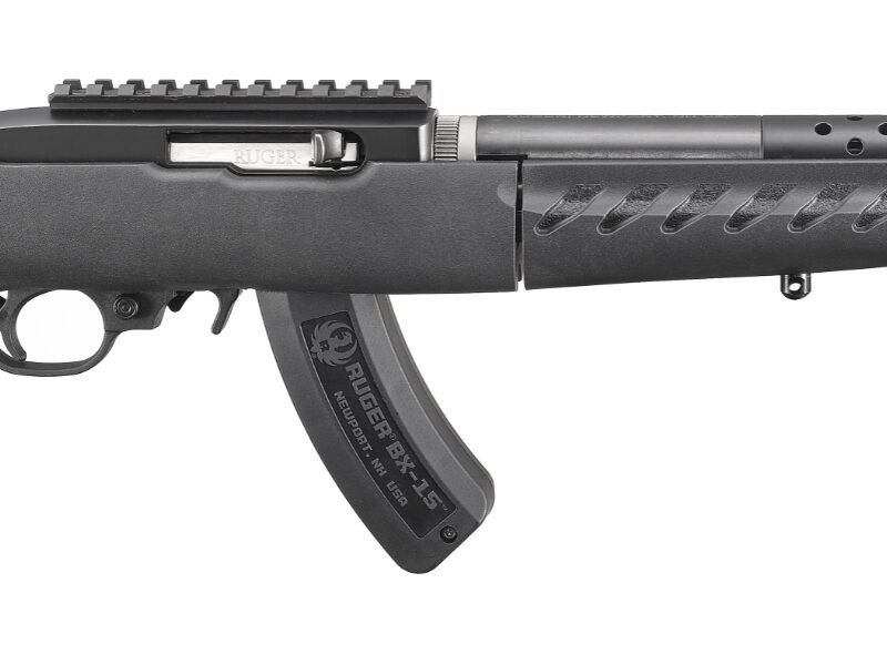 RUGER CHARGER LITE 22LR SYN 10" 15+1
