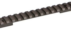 WARNE BASE TACT RAIL REMINGTON - 700 LONG ACTION