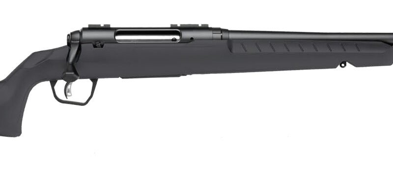 SAVAGE ARMS AXIS 2 30-06 BL/GRY 22"
