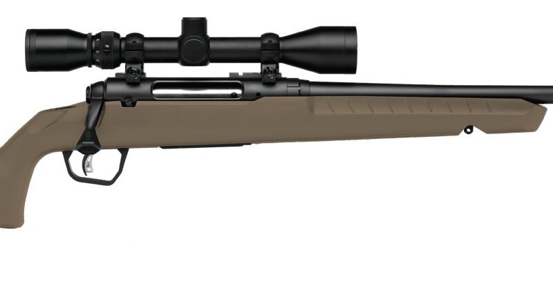 SAVAGE ARMS AXIS 2 400LEG BL/FDE 20" PKG