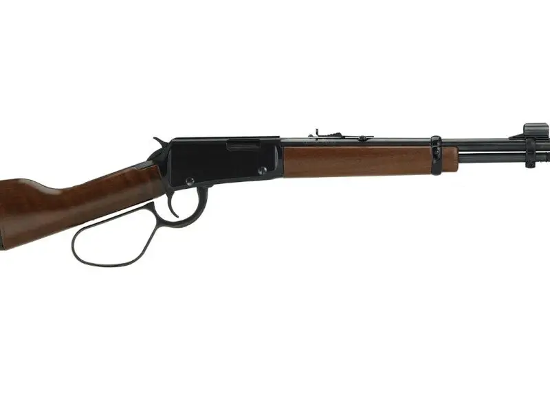 HENRY REPEATING ARMS MARES LEG 22MAG BL/WD 12.9"