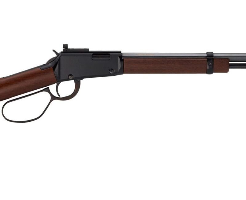 HENRY REPEATING ARMS LEVER SMALL GAME 22LR 20" PS