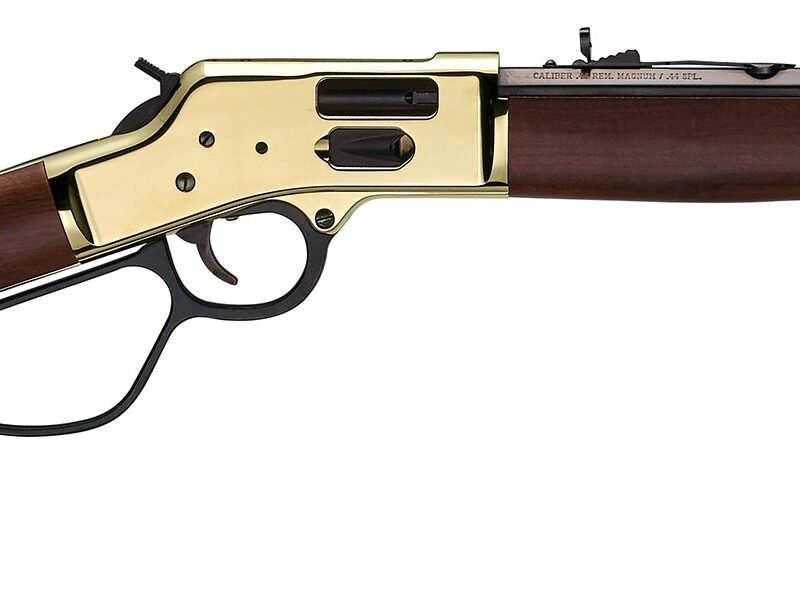HENRY REPEATING ARMS BIG BOY LEVER 45LC BS/WD SG LL