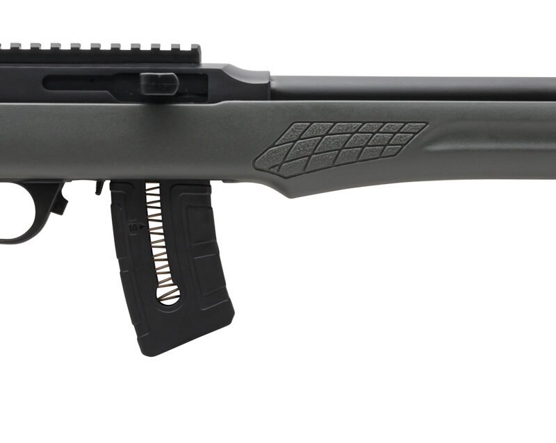 ROSSI RS22 22MAG BLK/GRAY 21" 10+1