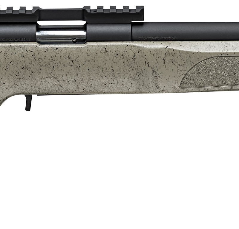 SPRINGFIELD ARMORY 2020 RF TARGET 22LR 20" SAGE