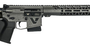 Dark Storm DS-15 Variant 1 California Featureless Rifle