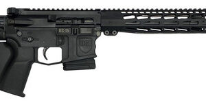 DS-15 Typhoon California Featureless Rifle 16"