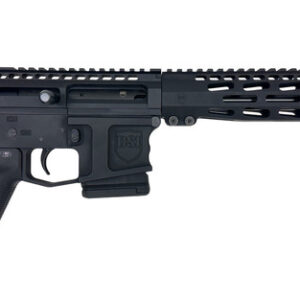 Dark Storm Industries DS-15 Thunderbolt Bolt Action Pistol