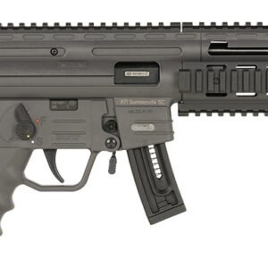 GER GGSG1610S     GSG-16 22LR     16.25 10R    SMK