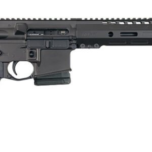 Dark Storm Industries DS-15 MFR Post Ban Rifle