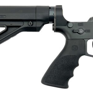 DS-15 Typhoon Assembled NJ Post Ban Lower