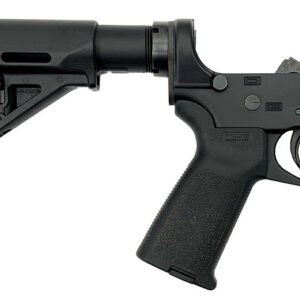Dark Storm Industries DS-15 MOE Fixed Magazine Lower