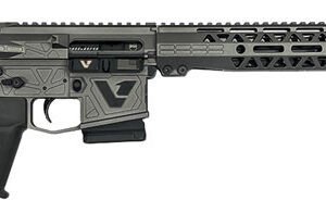 Dark Storm Industries DS-15 Variant 1 CA Featureless Rifle