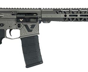 Dark Storm Industries DS-15 Variant 1 Standard Rifle