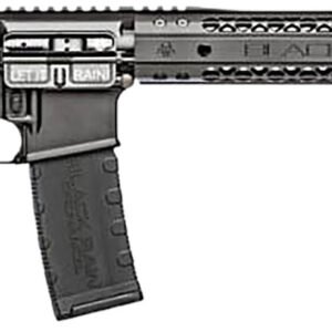 Black Rain Ordnance BROSPEC15 Spec15  5.56x45mm NATO 30+1 16" Chrome Moly Barrel, A2 Flash Hider,  Black Hard Coat Anodized 7075-T6 Receiver, Adjustable B5 Sopmod Stock, Polymer Grip, GI Trigger