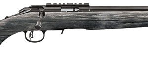 Amer R/F Target17HMR 18"B ScpRailBlkLami