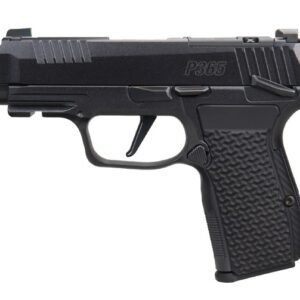 P365 AXG LUXE 380 ACP 3.1" XRAY3 BLK 3/10 CA