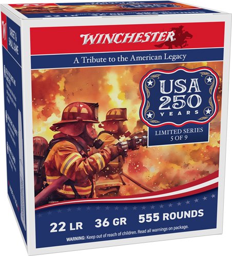 WINCHESTER 22LR 36GR PLATED HP - 1280FPS 555RD 10BX/CS 250TH AN