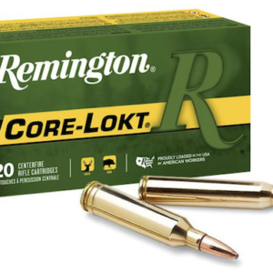 REM 6MMCM 100GR PSP-CORELOKT 20BX