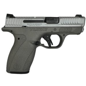BODYGUARD 2.0 380ACP (1)10&(1)12 MAGS NTS SATIN GUN METAL