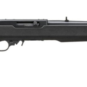 10/22 .22LR 18.5" BX MLOK Blk/Blk 10rd