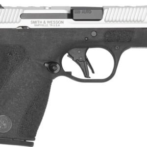 S&W BG2.0PC CC 380 2TNE NT DE
