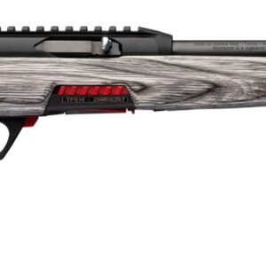 WRA WILDCAT SR T HOLE 22LR 16