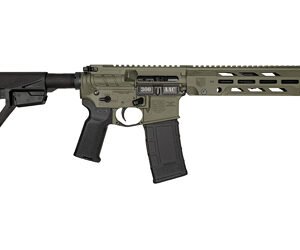 DBF DB15OBS 300BLK 10" 30RD ODG BRC