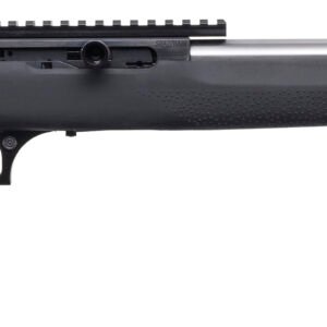 MR STRAIGHT PULL BOLT 22WMR 19 BLK HOGUE