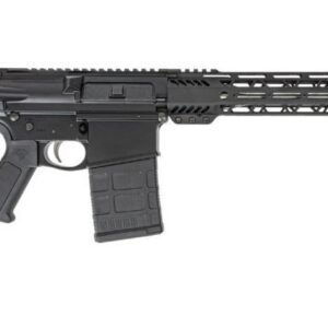 DPMS DP10 308 LW 16 SS MOE 20