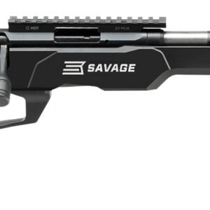 SAV B17 PREC LITE 17HMR BA 10R