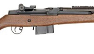M1A Scout Squad 308 18"B AS Wlnt NYComp